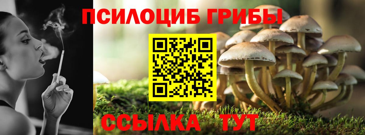 Великие Луки  Псилоцибиновые грибы MAGIC MUSHROOMS  Вход с VPN 